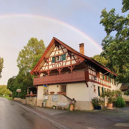 Studio Beim Rhein - Ziegelhuette Flaach Exterior foto